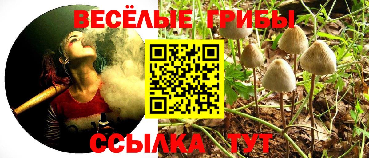Галлюциногенные грибы Psilocybine cubensis Ноябрьск