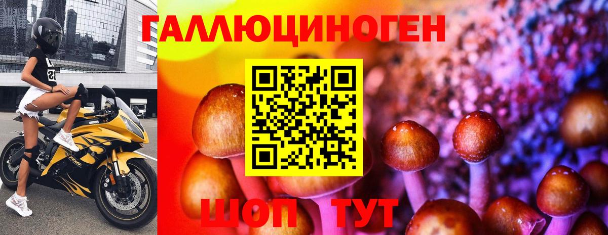 Ноябрьск  Псилоцибиновые грибы Cubensis  Вход с VPN 