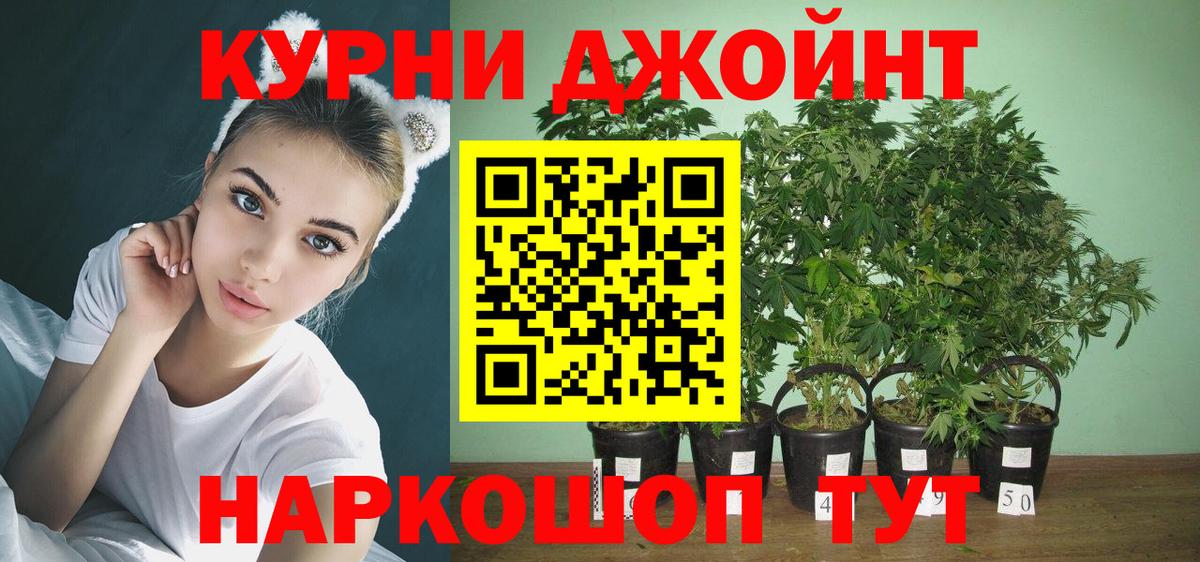 Канабис SATIVA & INDICA Ноябрьск